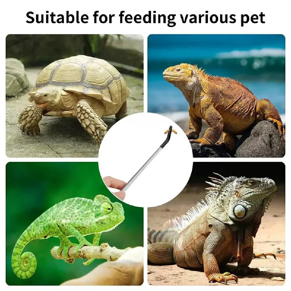 Safe Bite-Proof Feeding Tweezers Stainless - ProPawPet.com