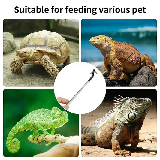 Safe Bite-Proof Feeding Tweezers Stainless - ProPawPet.com