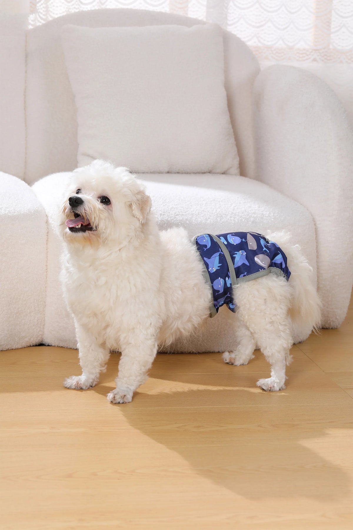 Reusable Female Dog Diapers For Small Big - ProPawPet.com