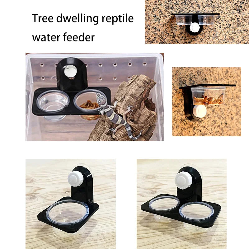 Reptile Tank Accessories Insect Spider Ants - ProPawPet.com
