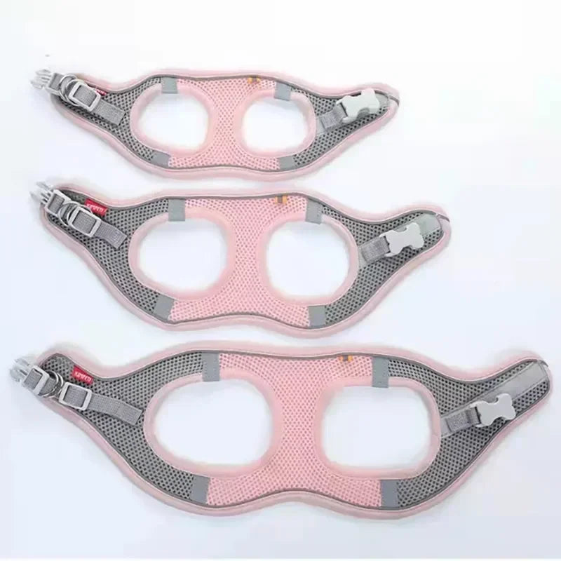 Cats Dog Accessories Small Dog Collar Safety - ProPawPet.com