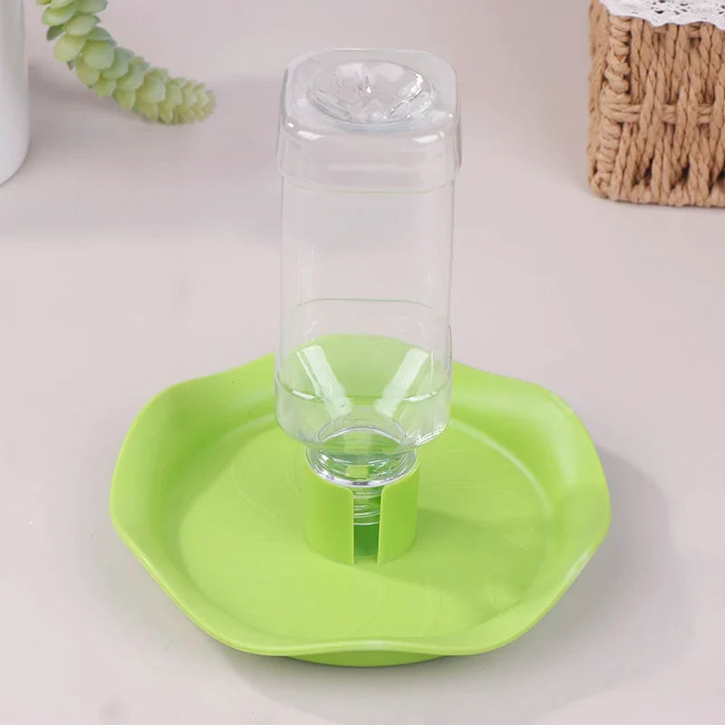 Reptile Feeders Water Drinker Dispenser – 2 Colors