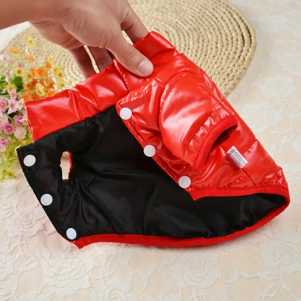 Dog Clothes for Small Dogs Puppy Jacket - ProPawPet.com