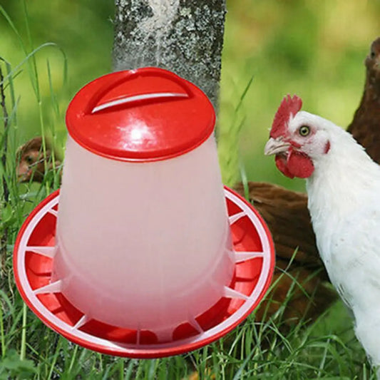 1.5L Chicken Poultry Feeder Bird Quail Food - ProPawPet.com