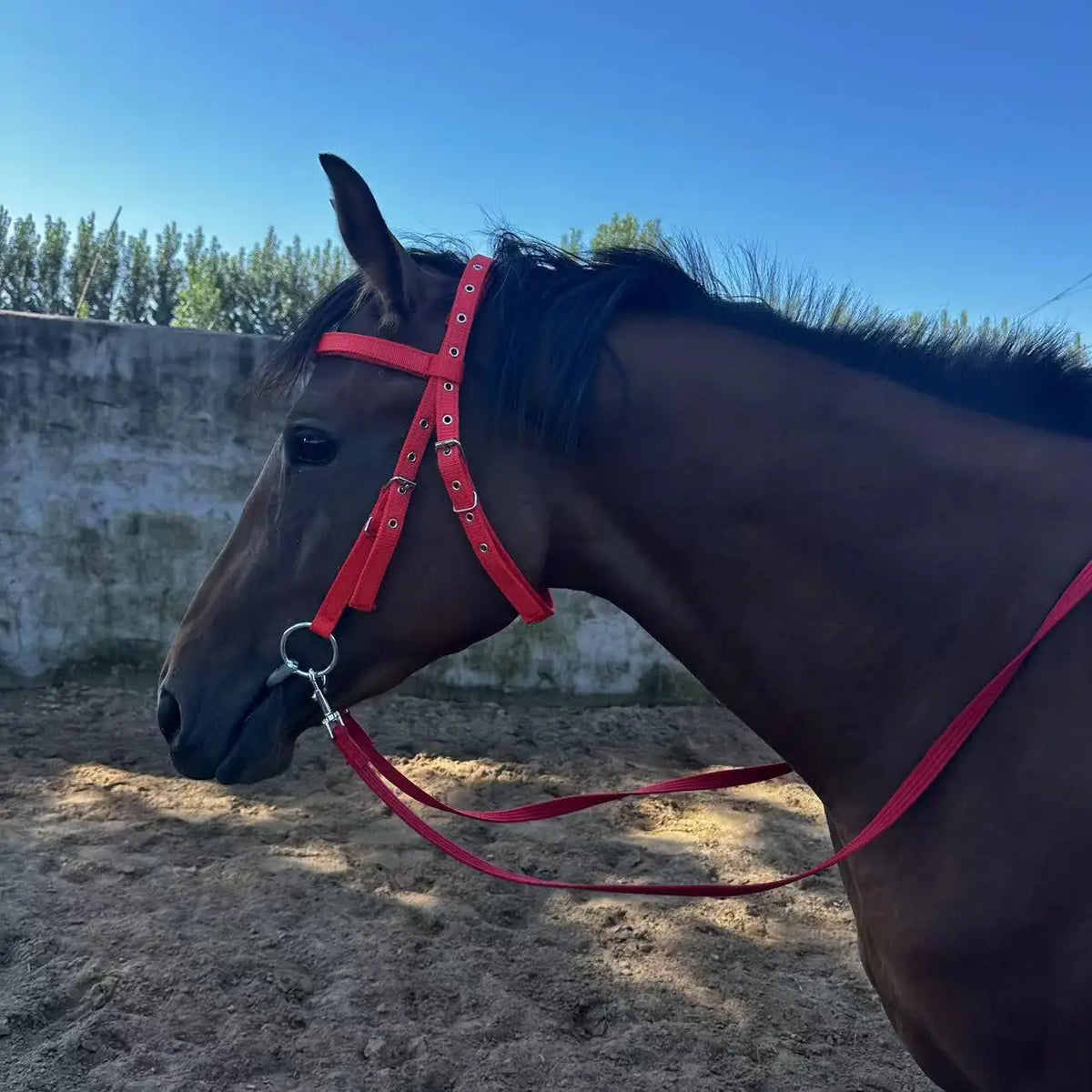 Horse Bridle Harness Set – PU Leather - ProPawPet.com