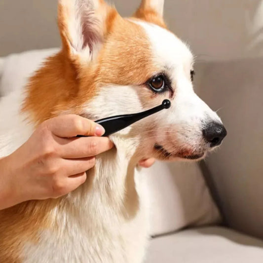 1/3/6PCS Dog Cat Tear Stain Remover Brush - ProPawPet.com