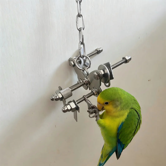 Stainless Steel Parrot Bell Toys Hanging - ProPawPet.com
