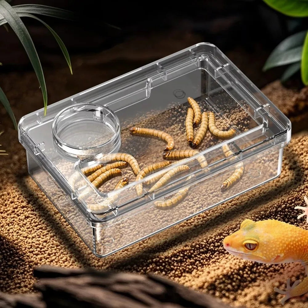 Reptile Lizards Geckos Feeding Bowls Anti - ProPawPet.com