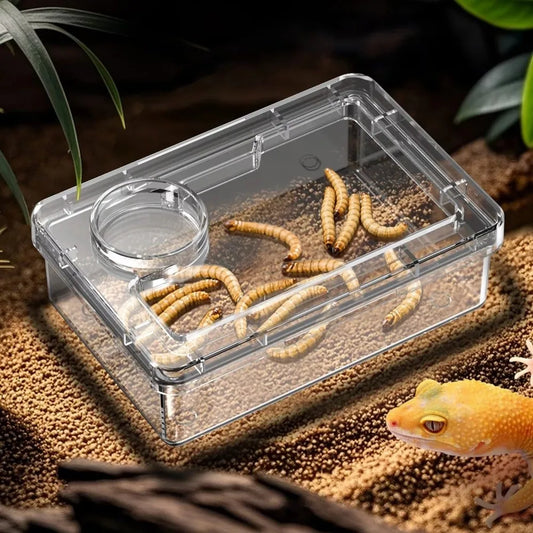 Reptile Lizards Geckos Feeding Bowls Anti - ProPawPet.com