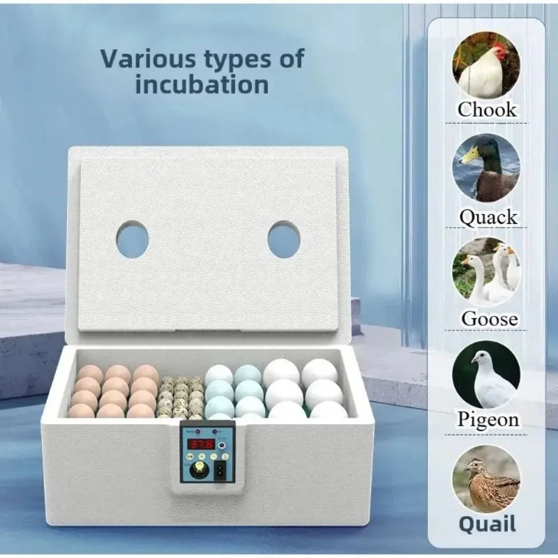 Waterbed Egg Incubator Provides Precise - ProPawPet.com