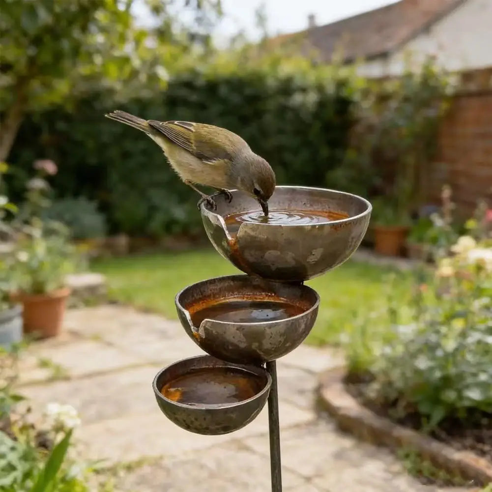 3-Layer Bird Water Bowl Effective Rainwater - ProPawPet.com