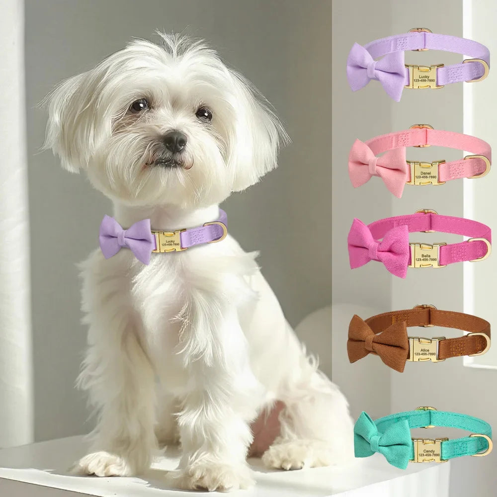 Personalized Dog Collar Cute Bowtie Dog - ProPawPet.com