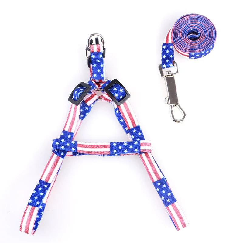 Cheap Small Dog Leash Puppy Leashes Teddy - ProPawPet.com