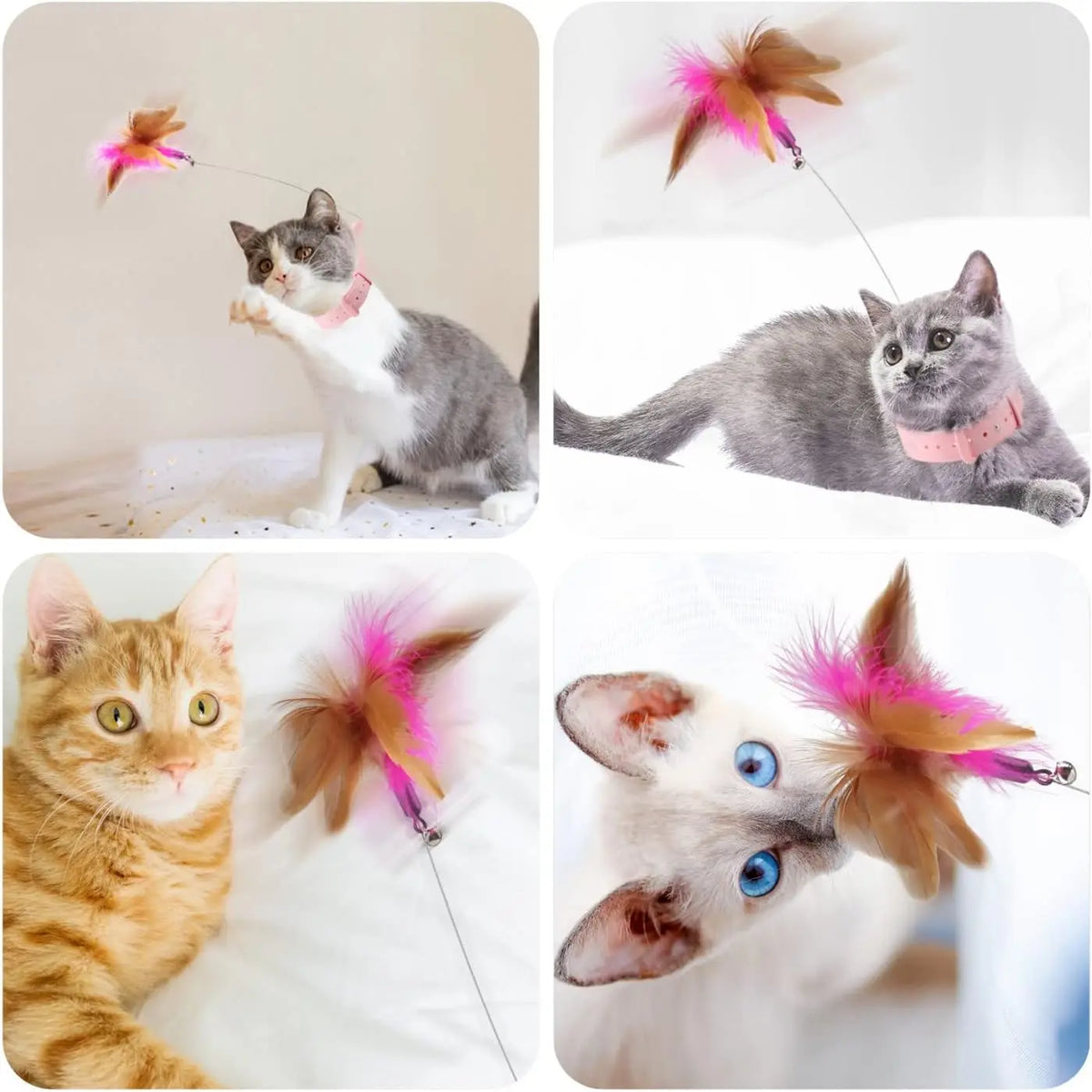 Neck Wear Cat Collar Teaser Toys, Self Play - ProPawPet.com