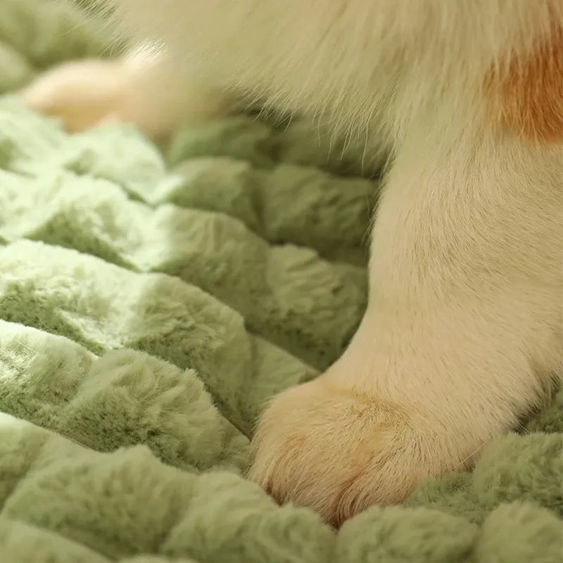 Winter Warm Dog Bed Mat Thickened Dog Sofa - ProPawPet.com