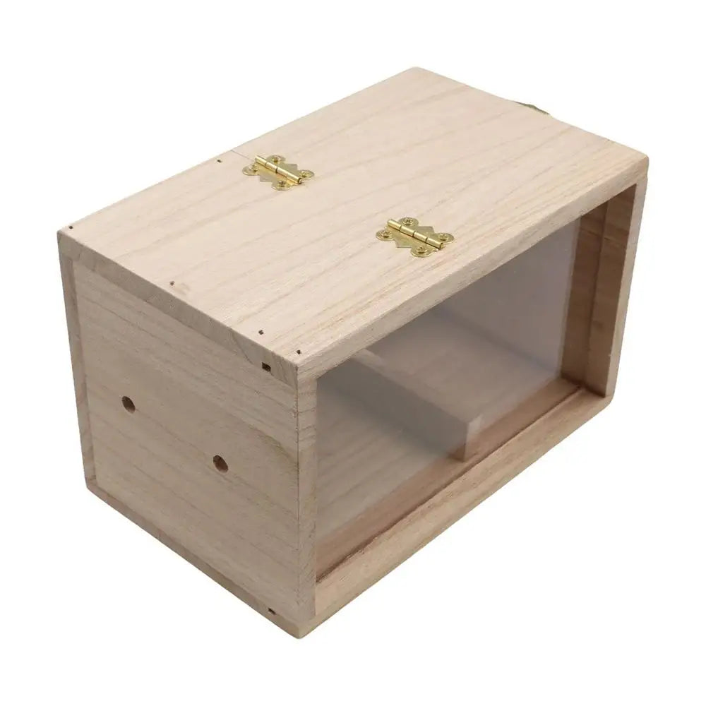 Transparent Window Wooden Parrot Breeding - ProPawPet.com