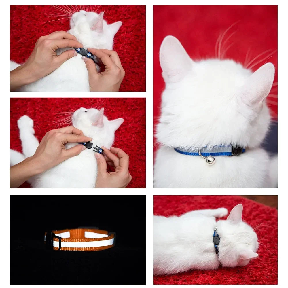 Reflective Breakaway Cat Collars with Bells - ProPawPet.com