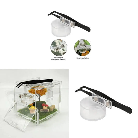 L43A Reptiles Tray Feeder Dish Container For - ProPawPet.com