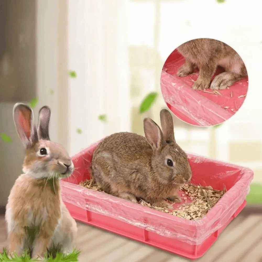 50Pcs Disposable Rabbit Cage Tray Cover - ProPawPet.com