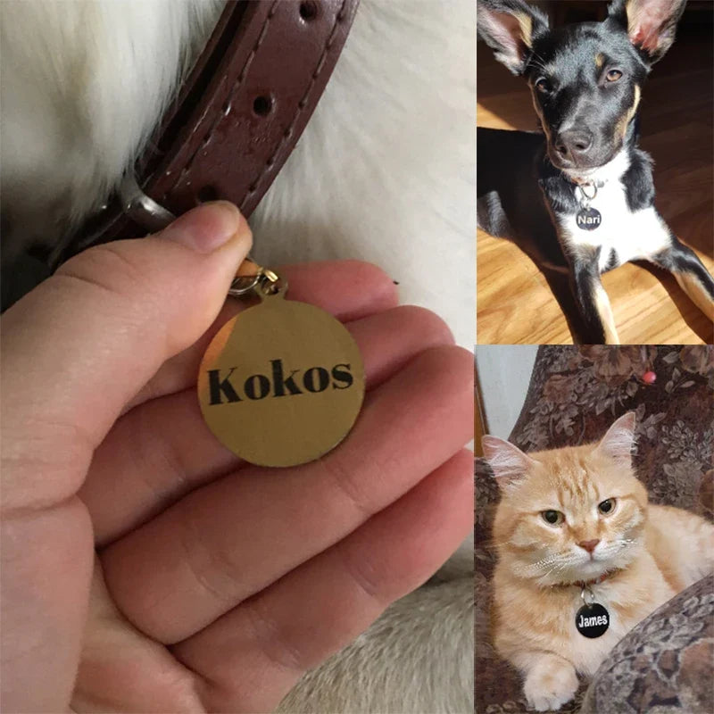 Personalized Pet Cat Dog Name Collar - ProPawPet.com