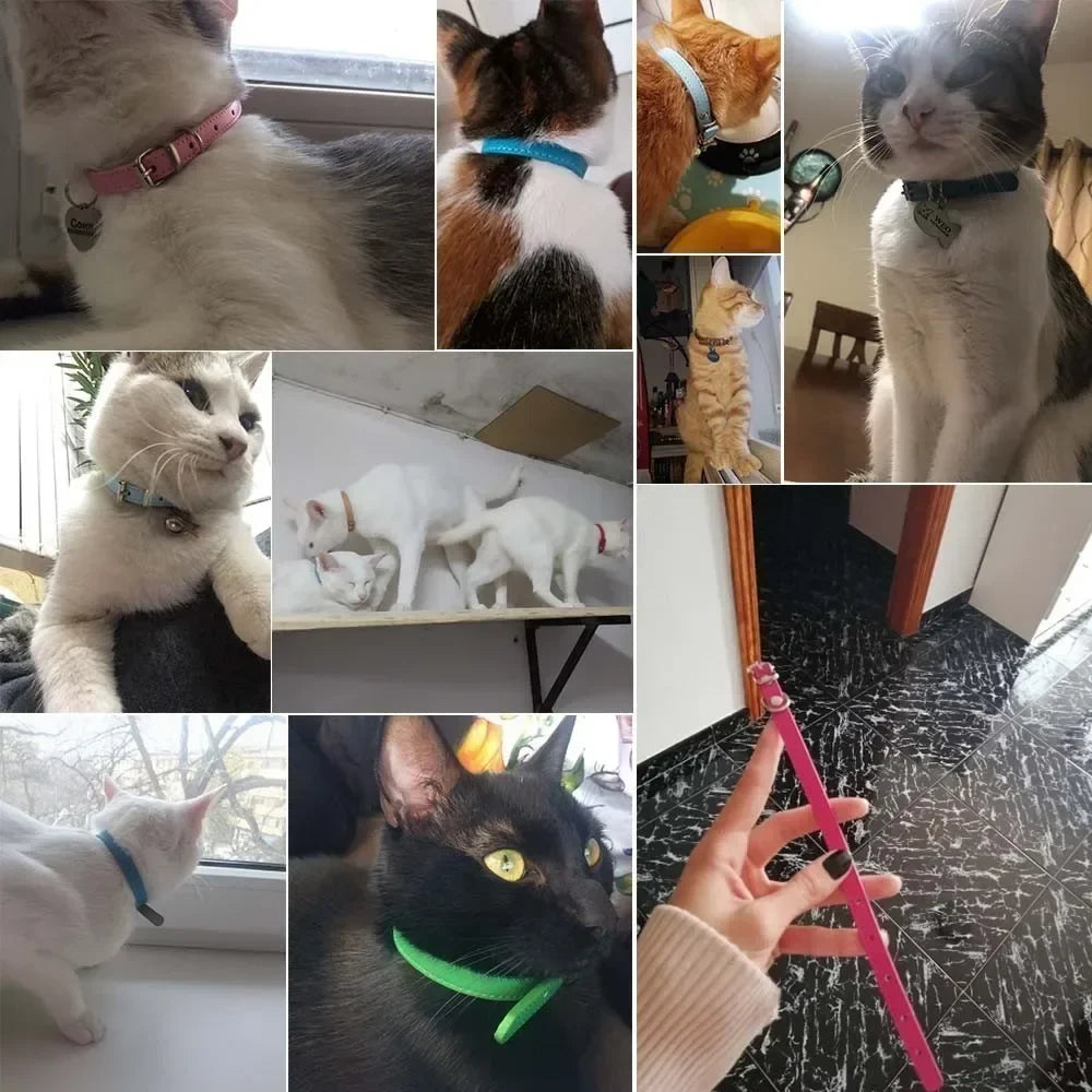 Colorful Leather Puppy Cat Collar Cute - ProPawPet.com