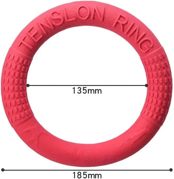 Floating Water Dog Toys Pet Flying Disk - ProPawPet.com
