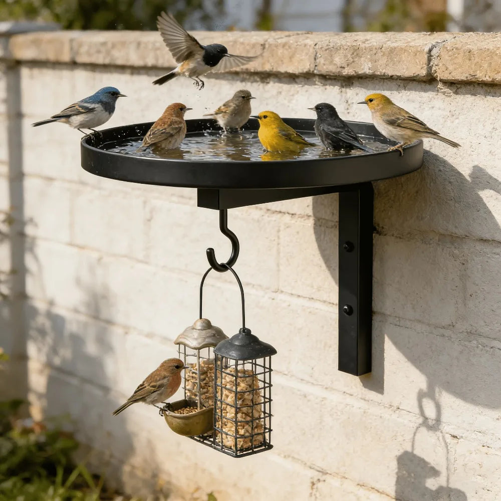 3-in-1 Wall Mounted Metal Bird Feeder and - ProPawPet.com