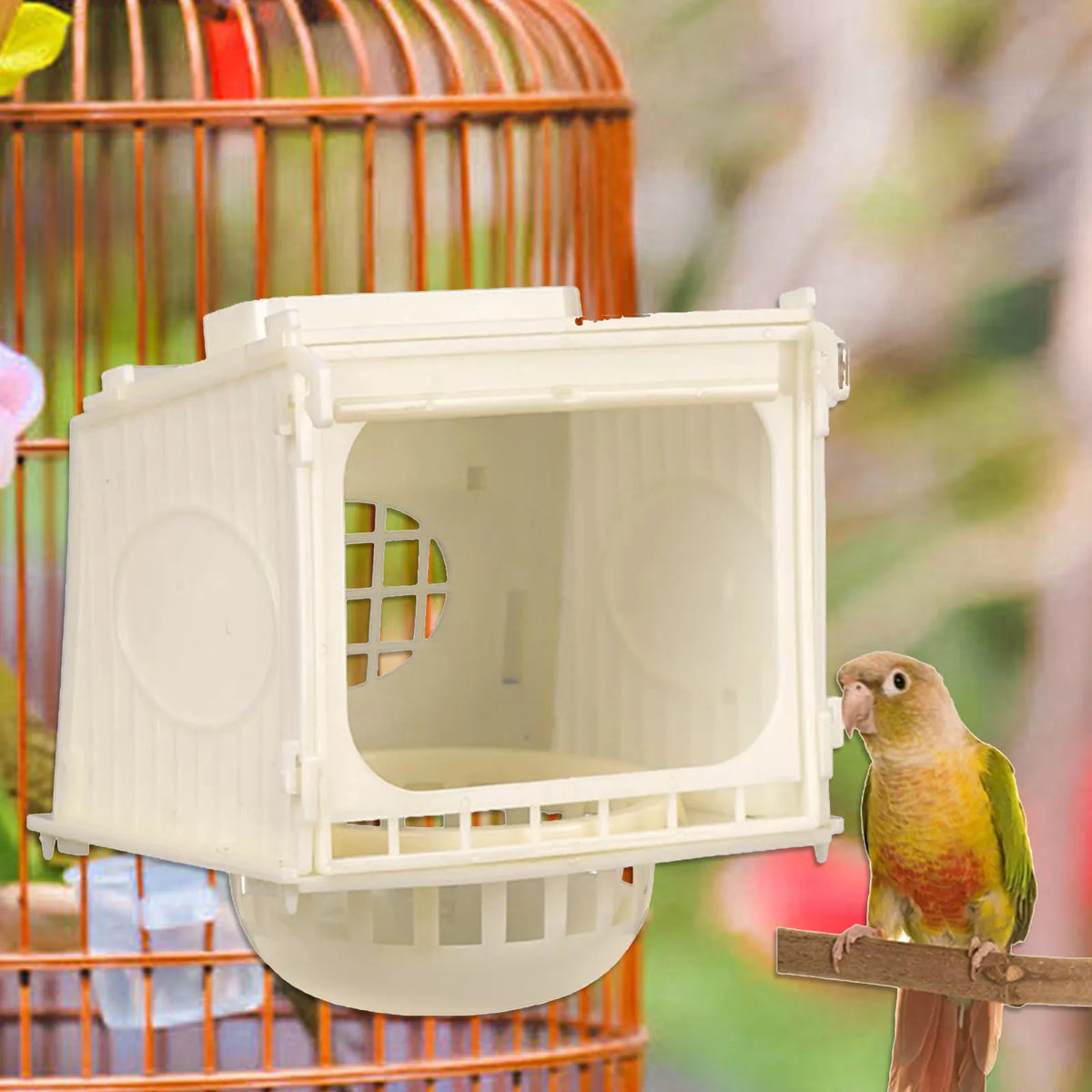 Bird Breeding Box Parakeet Cage Exploring - ProPawPet.com