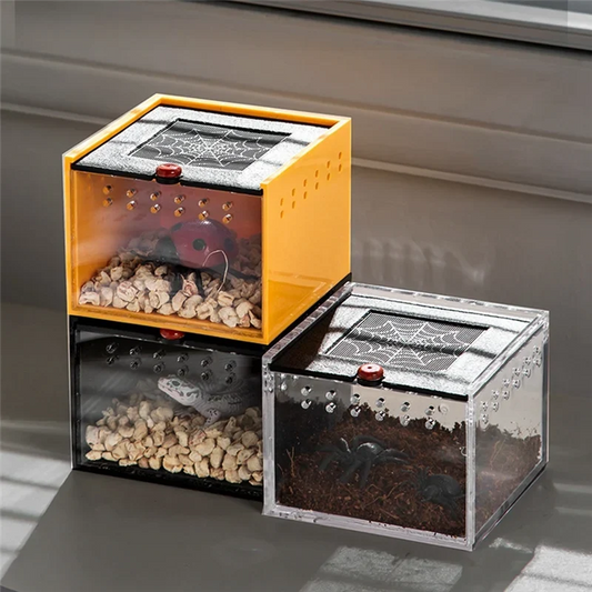 B62B-Spider Enclosure Small Insect Breeding - ProPawPet.com