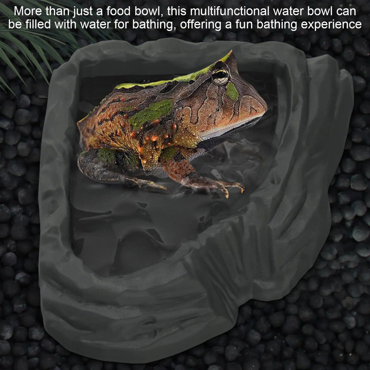 Tortoise Water Dish Reptile Bath Basin - ProPawPet.com