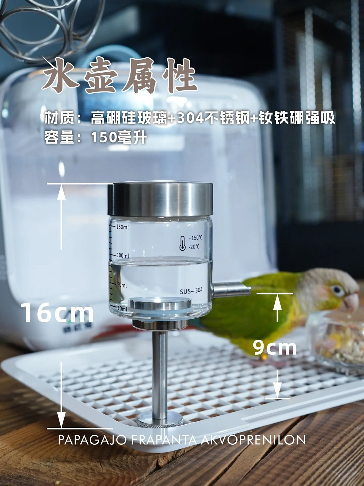 Parrot Incubator Special Kettle Magnetic - ProPawPet.com