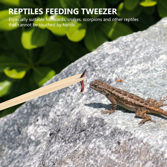 Bamboo Feeding Tongs For Reptiles - ProPawPet.com