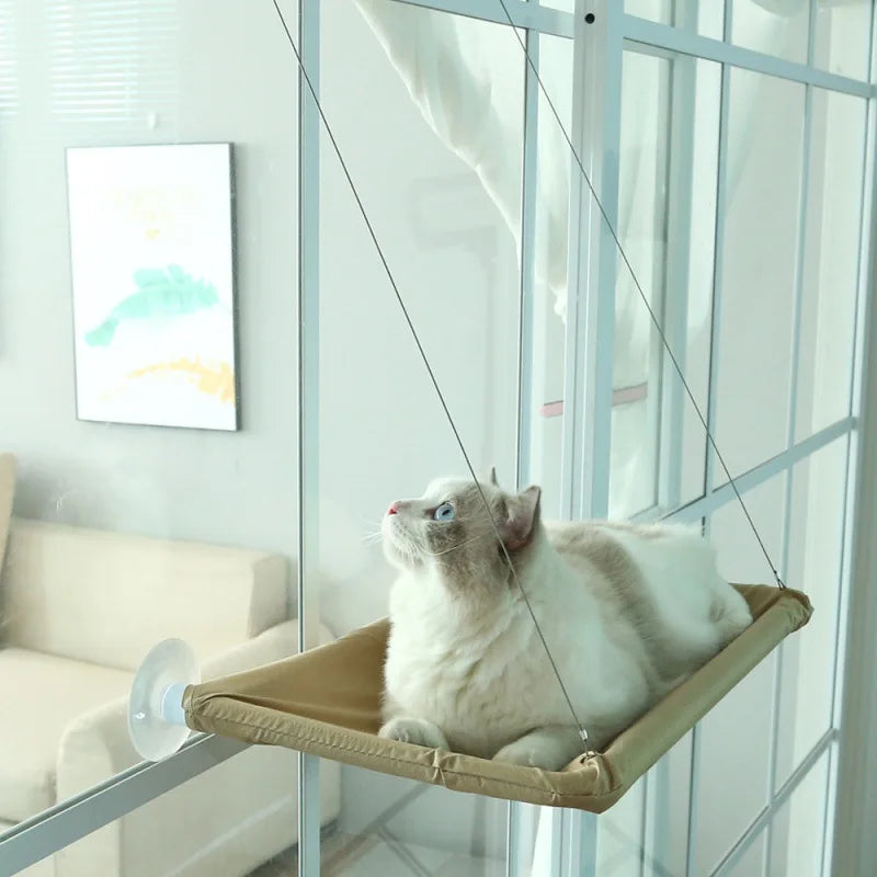 Removable Washable Suction Cup Cat Window - ProPawPet.com