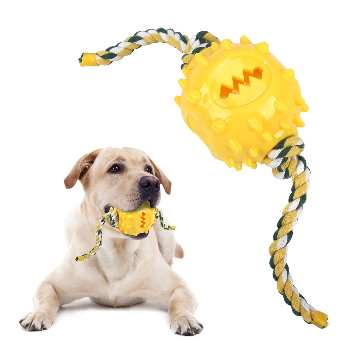 Dog Grinding Teeth Toys Chew Cleaning Anti Bite Interactive – Dog Supplies