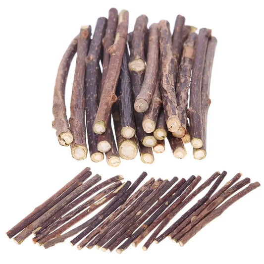 15-60pcs Natural Catnip Pet Cat Molar - ProPawPet.com