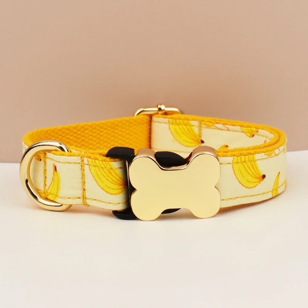 Premium Custom Engraved Dog Collar for Small - ProPawPet.com