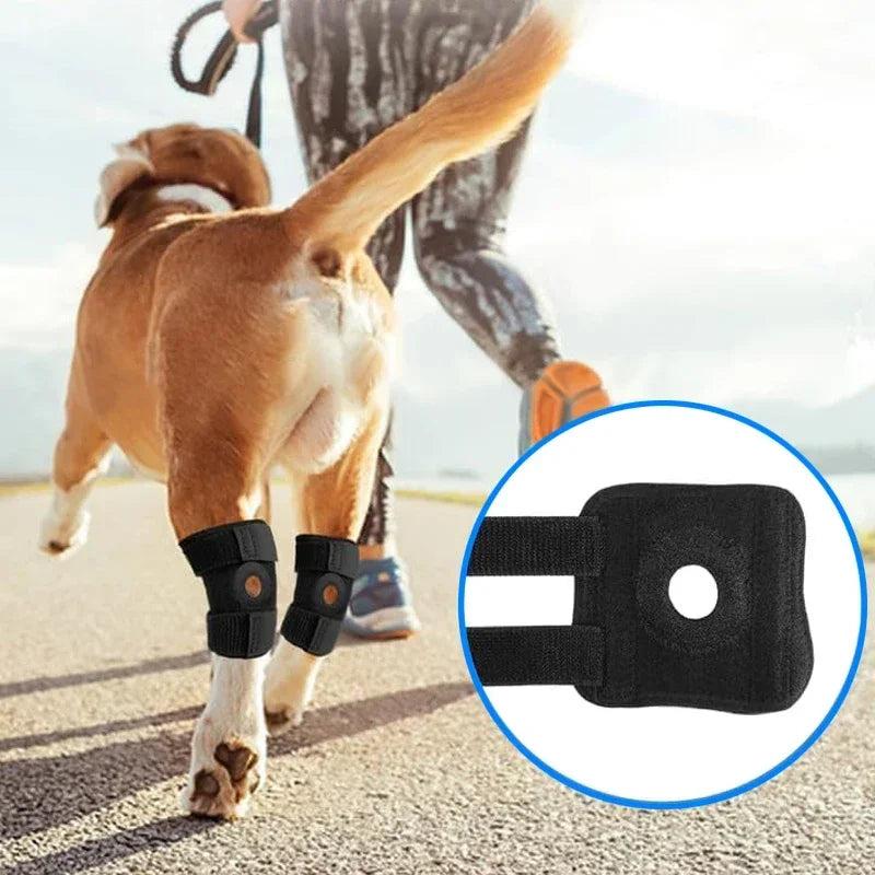 1Pair Pet Knee Pads Dog Arthritis Protector - ProPawPet.com