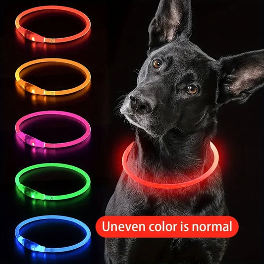 Usb Dog Luminous Charge 3 Modes Collar Led - ProPawPet.com