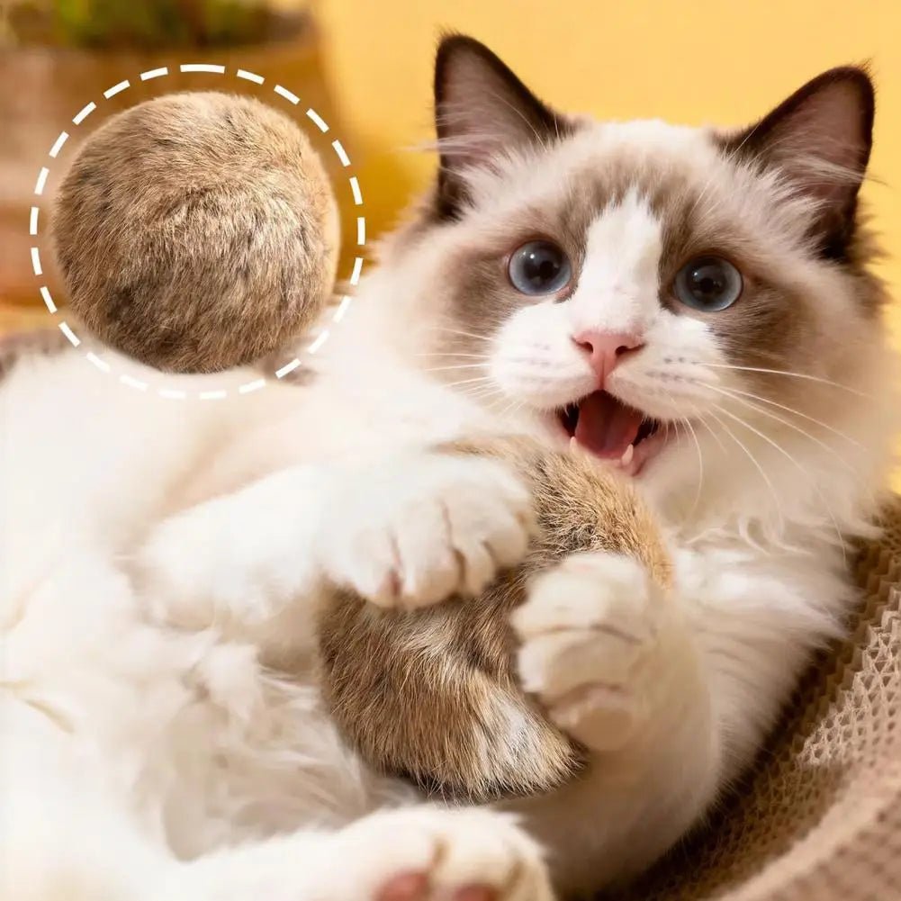 Cat Toy Ball Cat Bunny-kick Ball Furry Ball - ProPawPet.com