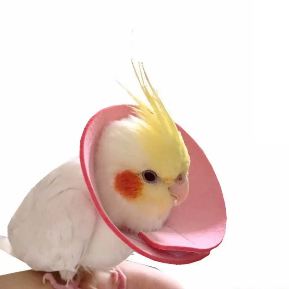 Adjustable Bird Accessories Anti-bite - ProPawPet.com