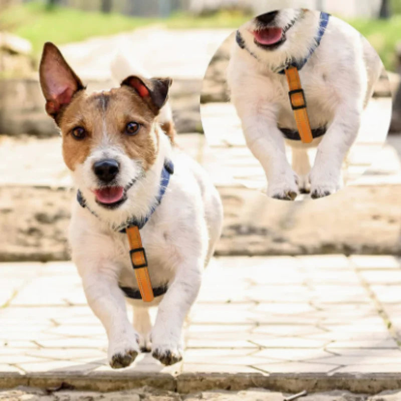 Adjustable Double Hook Telescopic Extension - ProPawPet.com