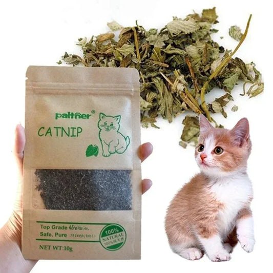 Natural Premium Catnip Cattle Grass - ProPawPet.com