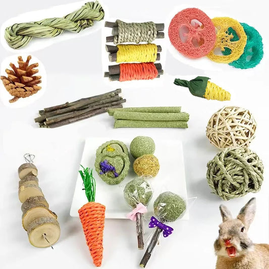 Rabbit Guinea Pig Dragon Cat Chew Toys Tooth - ProPawPet.com
