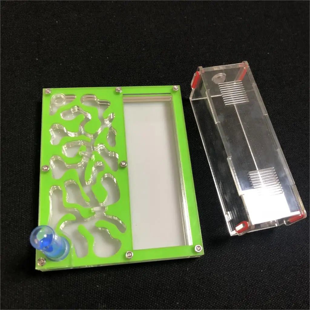 150mmx110mm test tube Moisture big space Ant - ProPawPet.com