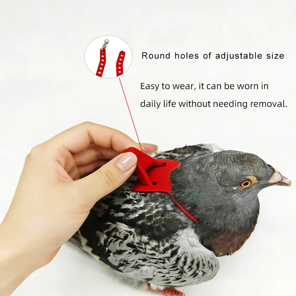 Ultra Lightweight 4g Adjustable Parrot - ProPawPet.com