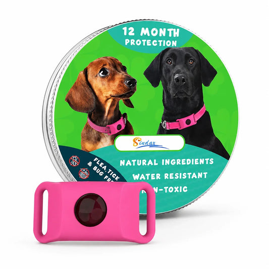Adjustable Dog Collar with Replaceable - ProPawPet.com