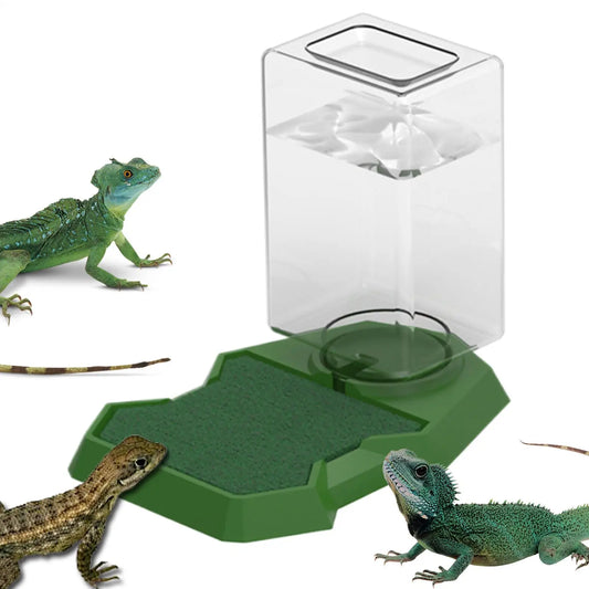 Reptile Water Dispenser Feeder Feeding - ProPawPet.com