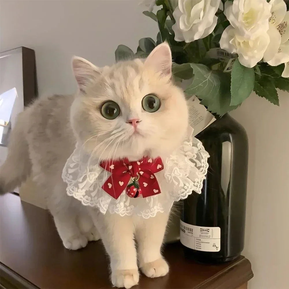 Cute Dog Collar Lace Bowknot Pearl Cat - ProPawPet.com