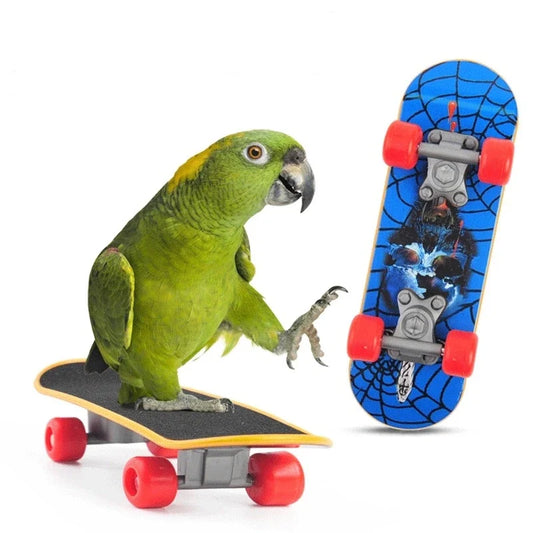 1PC Pet Training Skateboard Animal Supplies - ProPawPet.com
