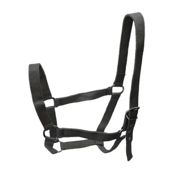 Strong PP Webbing Horse Halter Adjustable Padded Training Rope – 3 Colors